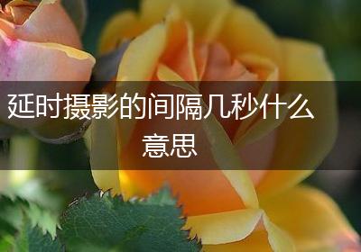 延时摄影的间隔几秒什么意思
