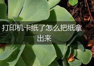 打印机卡纸了怎么把纸拿出来