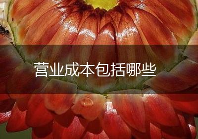 营业成本包括哪些