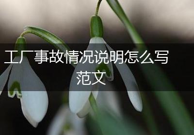 工厂事故情况说明怎么写范文