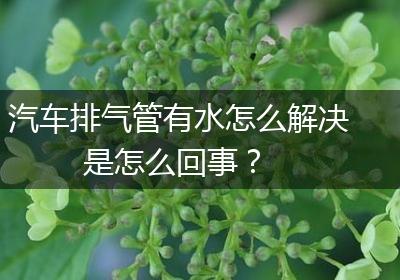 汽车排气管有水怎么解决 是怎么回事？