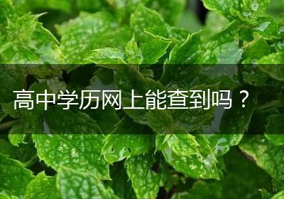 高中学历网上能查到吗？