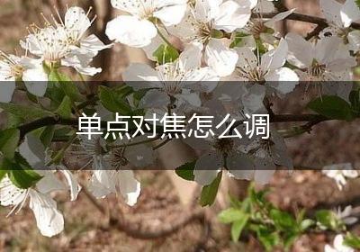 单点对焦怎么调