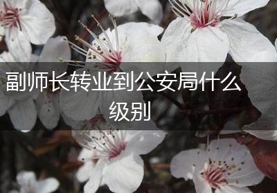 副师长转业到公安局什么级别