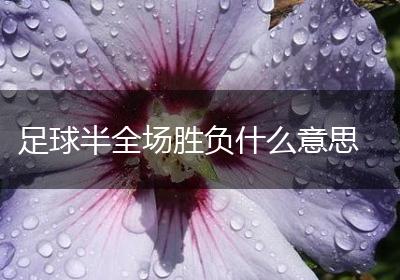 足球半全场胜负什么意思