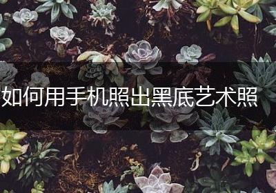 如何用手机照出黑底艺术照