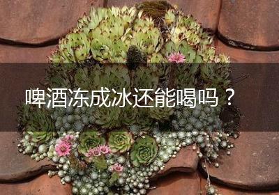 啤酒冻成冰还能喝吗？