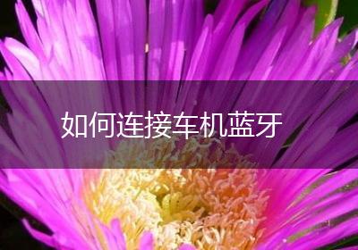 如何连接车机蓝牙