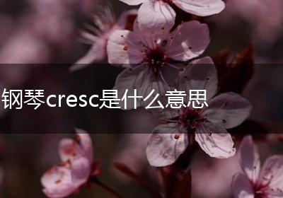 钢琴cresc是什么意思