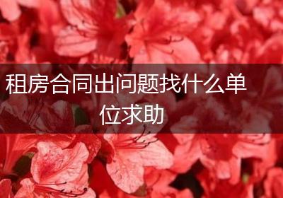 租房合同出问题找什么单位求助