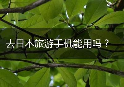 去日本旅游手机能用吗？