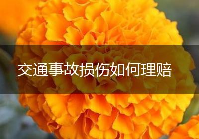 交通事故损伤如何理赔