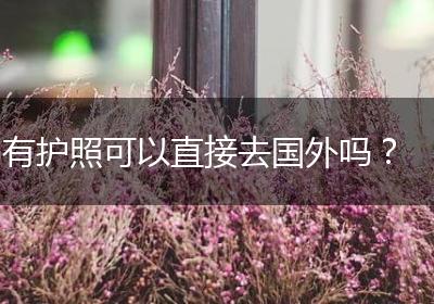 有护照可以直接去国外吗？