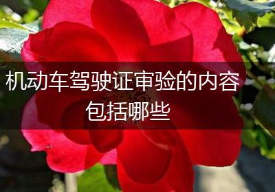 机动车驾驶证审验的内容包括哪些