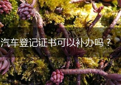 汽车登记证书可以补办吗？