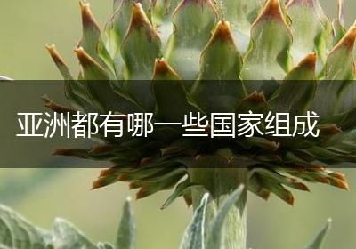 亚洲都有哪一些国家组成
