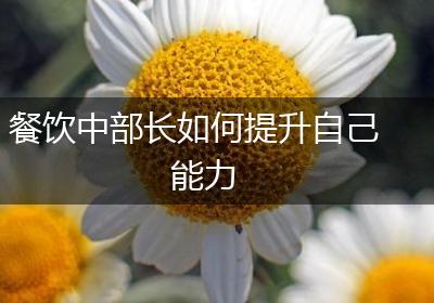 餐饮中部长如何提升自己能力