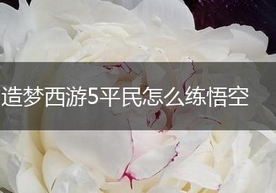 造梦西游5平民怎么练悟空