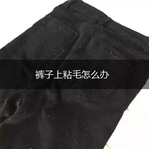 裤子上粘毛怎么办,第1张