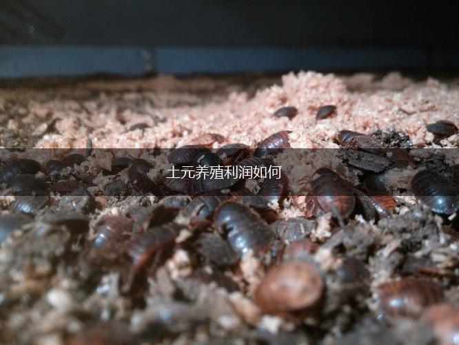 土元养殖利润如何,第1张