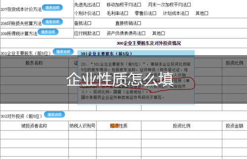 企业性质怎么填,第1张