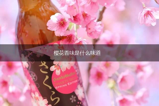 樱花香味是什么味道,第1张