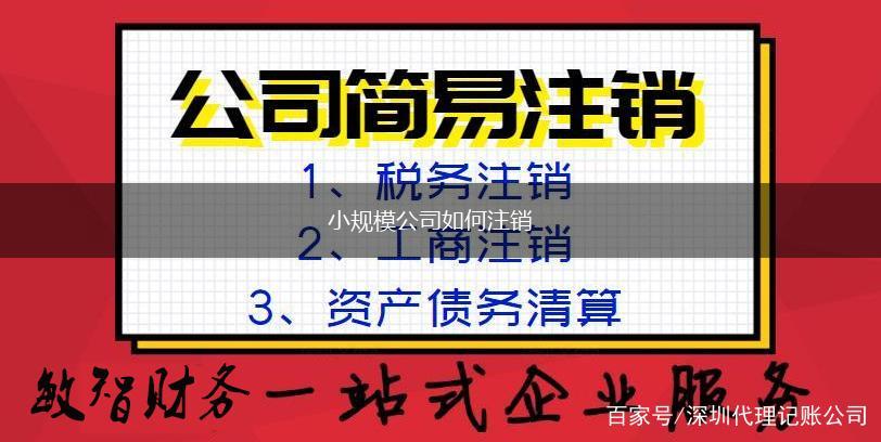 小规模公司如何注销,第1张