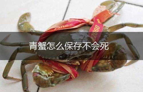 青蟹怎么保存不会死,第1张