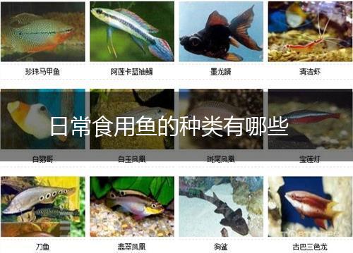 日常食用鱼的种类有哪些,第1张