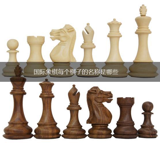 国际象棋每个棋子的名称是哪些,第1张