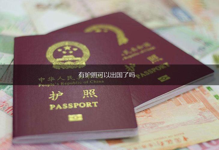 有护照可以出国了吗,第1张