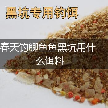 春天钓鲫鱼鱼黑坑用什么饵料,第1张