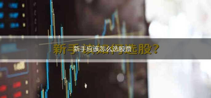 新手应该怎么选股票,第1张