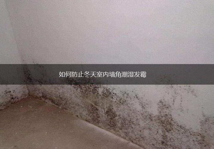 如何防止冬天室内墙角潮湿发霉,第1张