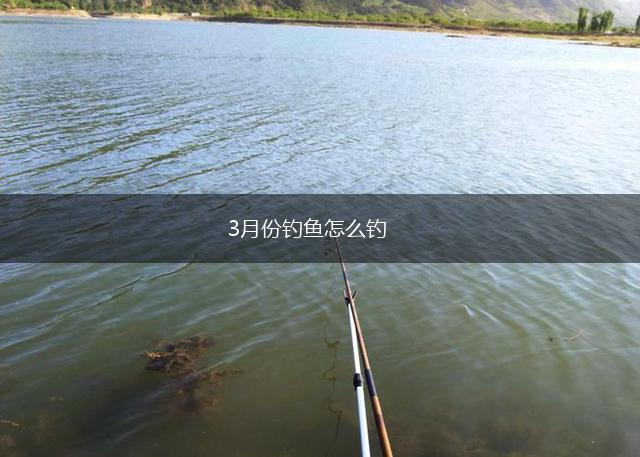 3月份钓鱼怎么钓,第1张
