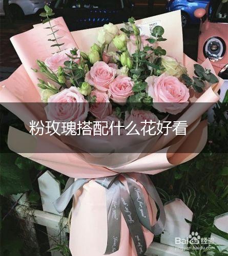 粉玫瑰搭配什么花好看,第1张