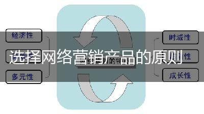 选择网络营销产品的原则,第1张