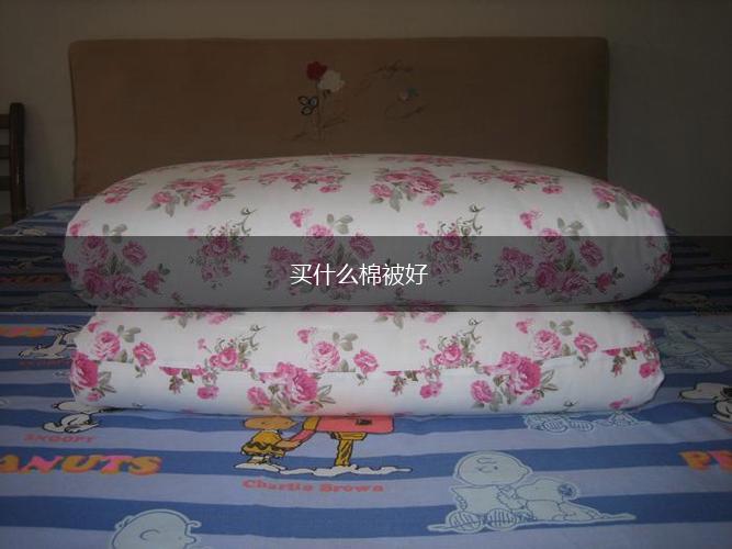 买什么棉被好,第1张