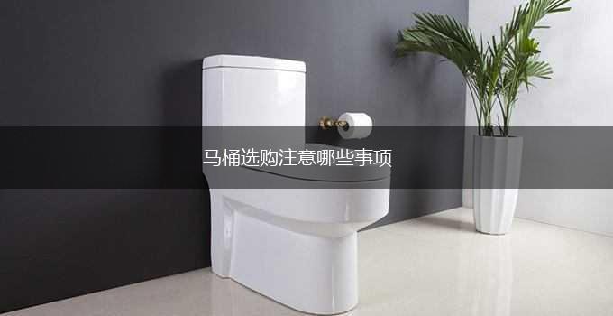 马桶选购注意哪些事项,第1张