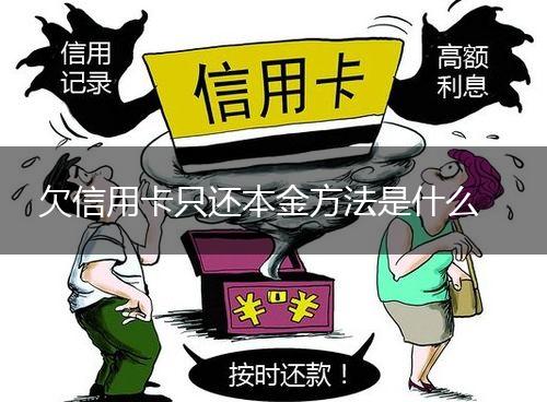 欠信用卡只还本金方法是什么,第1张