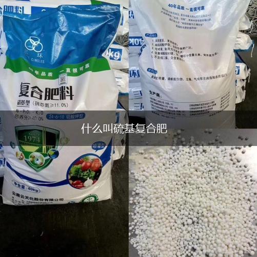 什么叫硫基复合肥,第1张