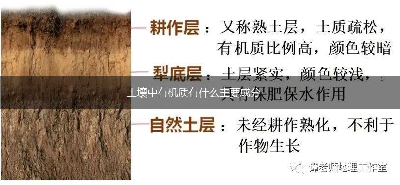 土壤中有机质有什么主要成分,第1张