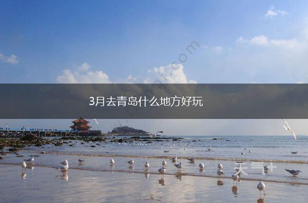 3月去青岛什么地方好玩,第1张