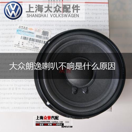 大众朗逸喇叭不响是什么原因,第1张