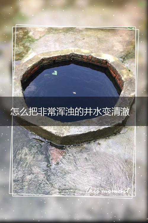 怎么把非常浑浊的井水变清澈,第1张