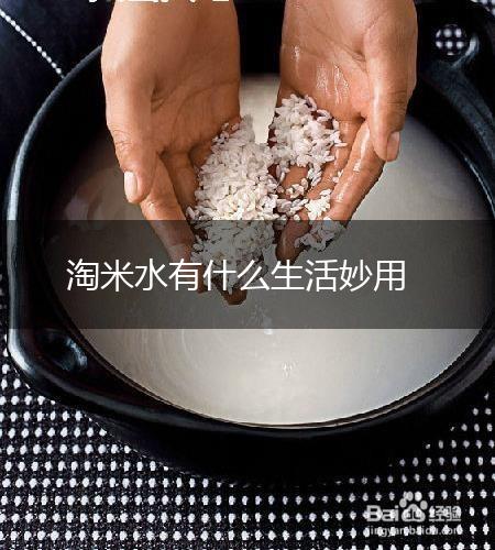 淘米水有什么生活妙用,第1张