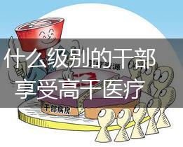 什么级别的干部享受高干医疗,第1张