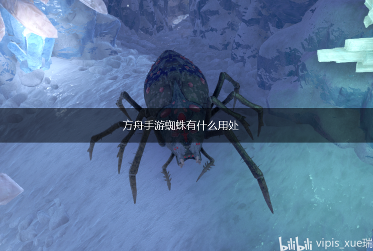 方舟手游蜘蛛有什么用处,第1张