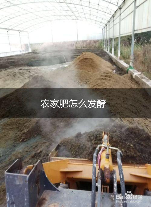 农家肥怎么发酵,第1张