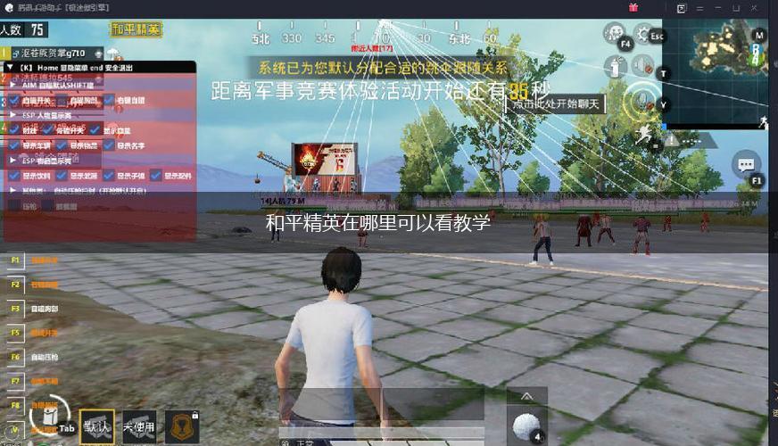 和平精英在哪里可以看教学,第1张